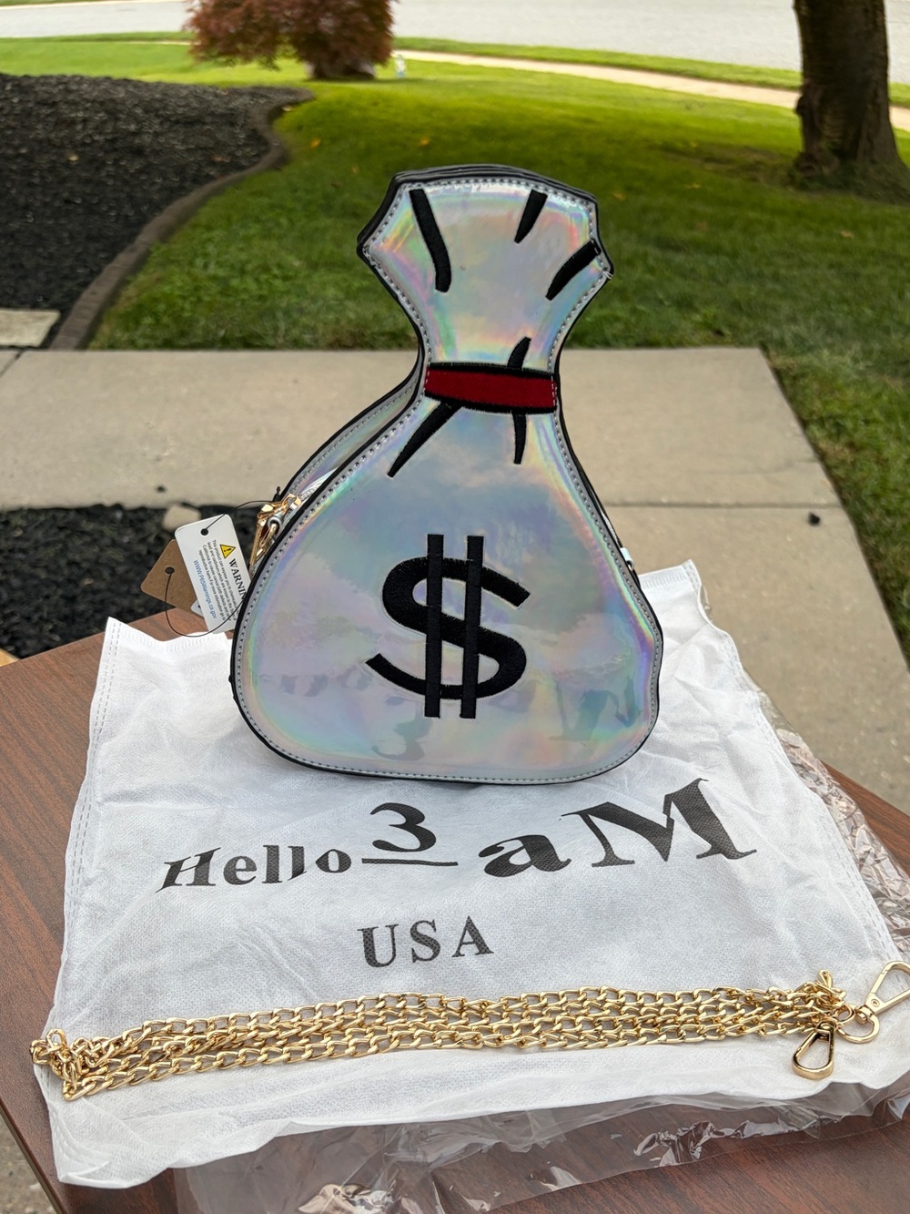 Hello 3AM Holographic Money Bag Crossbody Purse Gold Chain NWT